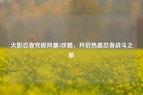 火影忍者究极风暴3攻略,开启热血忍者战斗之旅