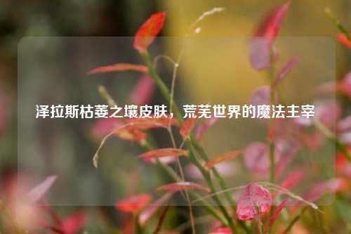 泽拉斯枯萎之壤皮肤,荒芜世界的魔法主宰