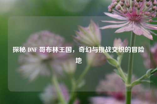 探秘 DNF 哥布林王国,奇幻与挑战交织的冒险地