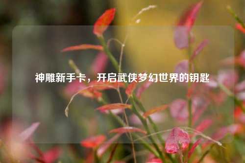 神雕新手卡,开启武侠梦幻世界的钥匙