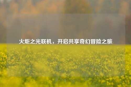 火炬之光联机,开启共享奇幻冒险之旅