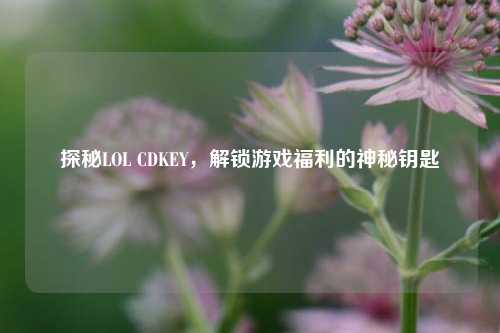 探秘LOL CDKEY，解锁游戏福利的神秘钥匙