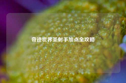 奇迹世界圣射手加点全攻略