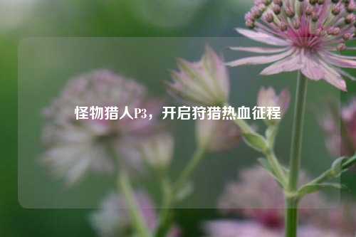 怪物猎人P3,开启狩猎热血征程