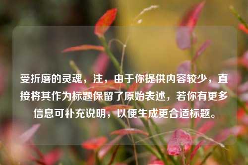 受折磨的灵魂,注,由于你提供内容较少,直接将其作为标题保留了原始表述,若你有更多信息可补充说明,以便生成更合适标题。