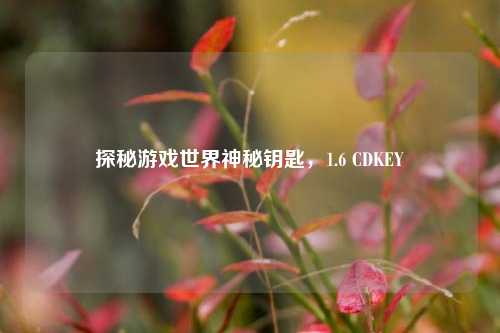 探秘游戏世界神秘钥匙，1.6 CDKEY