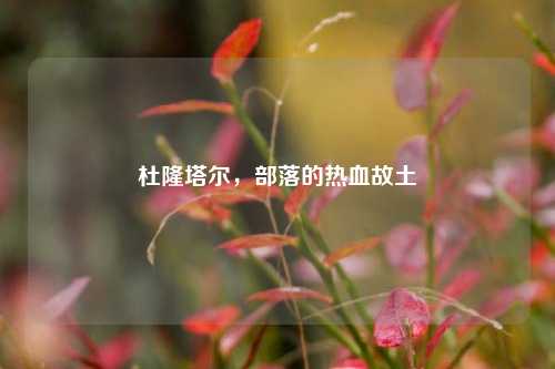 杜隆塔尔，部落的热血故土