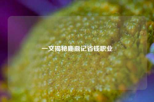 一文揭秘鹿鼎记省钱职业