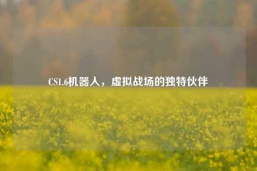 CS1.6机器人，虚拟战场的独特伙伴