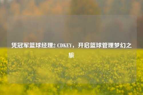 凭冠军篮球经理2 CDKEY，开启篮球管理梦幻之旅
