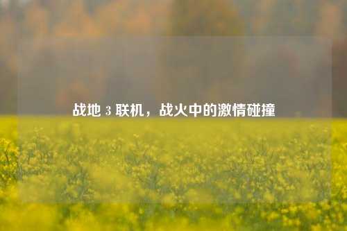 战地 3 联机，战火中的激情碰撞