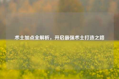 术士加点全解析，开启最强术士打造之路