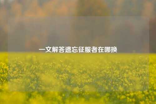 一文解答遗忘征服者在哪换