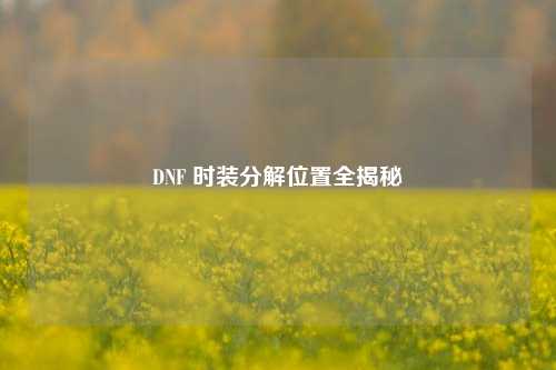 DNF 时装分解位置全揭秘