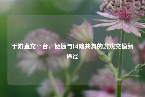 手游直充平台，便捷与风险共舞的游戏充值新途径