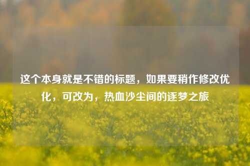 这个本身就是不错的标题，如果要稍作修改优化，可改为，热血沙尘间的逐梦之旅