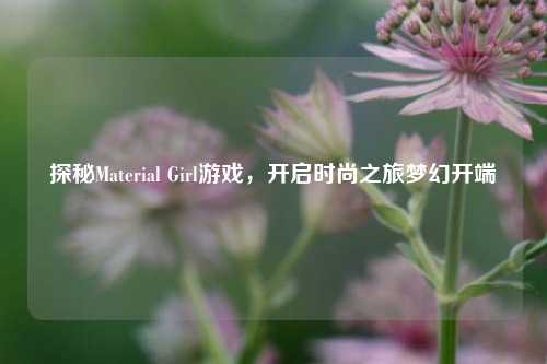 探秘Material Girl游戏，开启时尚之旅梦幻开端