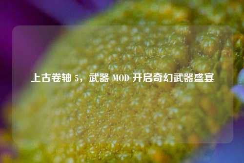 上古卷轴 5，武器 MOD 开启奇幻武器盛宴