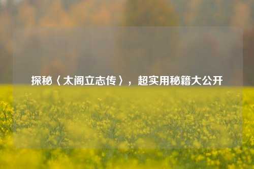 探秘〈太阁立志传〉，超实用秘籍大公开