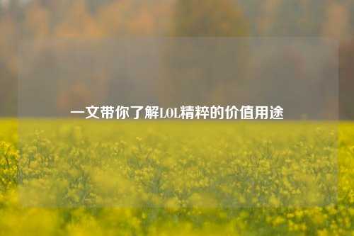 一文带你了解LOL精粹的价值用途