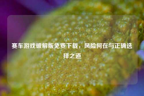 赛车游戏破解版免费下载,风险何在与正确选择之道