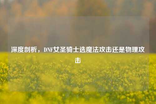 深度剖析,DNF女圣骑士选魔法攻击还是物理攻击