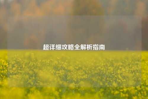 超详细攻略全解析指南
